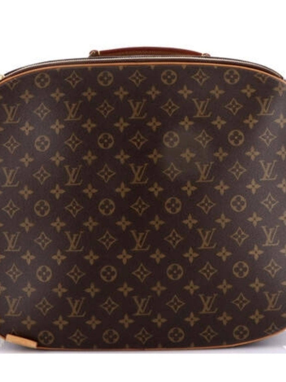 Louis Vuitton PM Packall Handbag Monogram Canvas